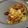 みみず◎'s cooksnap of when they made チキンとデーツ、オリーブのスパイス煮.