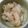 SUNMOONMOM's cooksnap of when they made 弁当おかずにも 材料2つ簡単5分で白滝煮.