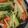 aizu_po's cooksnap of when they made 簡単ピクルス.