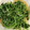 matsuler's cooksnap of when they made 簡単副菜！豆苗の梅昆布茶とごま油和え.