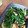 ★ゆむ★'s cooksnap of when they made 簡単！ほうれん草としめじのバターソテー.