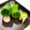 ♪ゆかたん♡'s cooksnap of when they made 簡単！はやい！ピーマンのヘタと種取り☆.
