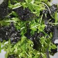 クックZTZ10H☆'s cooksnap of when they made 豆苗と韓国海苔のシャキうまサラダ.