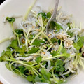 まっちゃ小豆's cooksnap of when they made しらす・かいわれのごま油和え.