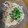デイジー1222's cooksnap of when they made きのことたらこの 和えるだけパスタ.