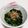 もぐ・ω・くま's cooksnap of when they made めんつゆで美味しい「ほうれん草のお浸し」.