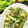 サバ先生's cooksnap of when they made 鶏肉とたけのこ•ふきの煮物.