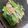 うずら's cooksnap of when they made 豚肉と小松菜の辛子醤油和え.