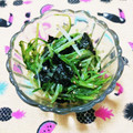 ﾁｲﾁｬﾝﾏﾏ's cooksnap of when they made 節約副菜♡水菜と海苔和え.