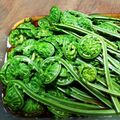 mamaさん1221's cooksnap of when they made こごみの下処理.