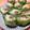 ももいろさくら's cooksnap of when they made サンチュ巻き焼肉ごはん.