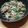 もりのりころ's cooksnap of when they made しょうが焼き　簡単　玉ねぎ　豚肉.