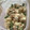 しげその's cooksnap of when they made オクラときゅうりとはんぺんのごまだれ和え.