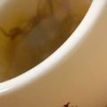 MULA's cooksnap of when they made 簡単☆味付けもずくをそのままスープに♪.