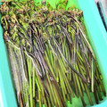 ハチ8コロ8's cooksnap of when they made 簡単！！わらびのアク抜き！.