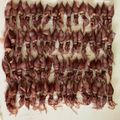 tomitomico's cooksnap of when they made 美味しいホタルイカのための大切な下処理.