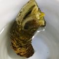 わかゆき♡'s cooksnap of when they made わさびの保存法♪.