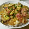 カール0301's cooksnap of when they made ただ煮るだけ　”天ぷら丼”でござーい。.