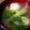 ばたみそーぱん☆'s cooksnap of when they made 白菜とカニカマの中華風スープ.