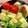 serafin's cooksnap of when they made シーフードとブロッコリーとろーりマヨ炒め.