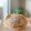 はるちなあき's cooksnap of when they made ごはんカンパーニュ。.