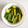 クック6U7INU☆'s cooksnap of when they made 時短☆中華風きゅうりの甘酢漬け♪.