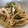 ★もぐさ★'s cooksnap of when they made 止まらない♪ささみと新玉ねぎの胡麻あえ.