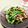 Dellaたん's cooksnap of when they made 牛肉とニラの甘辛炒め.