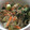 さおりん@料理特訓中's cooksnap of when they made 小松菜とえのきの和風サラダ.