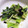 新米まんま's cooksnap of when they made 野菜だけの簡単美味☆小松菜ねぎ油塩炒め.