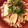 キャンディー86's cooksnap of when they made たけのこと♪豚肉の生姜焼き♪.