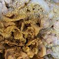 みき忠's cooksnap of when they made ＊簡単＊豚バラ肉と新玉葱の炒め物＊.