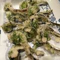 烏龍茶梅's cooksnap of when they made 山菜 ♪カラットサクサクこごみの天ぷら♪.