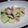 よっしいらいふ's cooksnap of when they made セルリーとタコのマスタード和え.