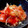 ばたみそーぱん☆'s cooksnap of when they made 新玉ねぎとトマトのマリネ.