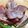 きく7AW7TV☆'s cooksnap of when they made アボカドトマトとスモークタンサラダ.
