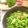 クックI91KKE☆'s cooksnap of when they made 韓国風タコフェ.