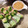 ちゃまたまご's cooksnap of when they made ◆生ハムとたっぷり野菜の生春巻き◆.