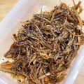 根菜えりか's cooksnap of when they made 新ショウガとゴボウのきんぴら.
