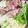 ボブナナ's cooksnap of when they made 簡単！美味しい！野菜たっぷり鉄板焼き.