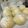 チョコアイス♪'s cooksnap of when they made 手ごねのふっくら白パン.