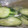 シェリア☆'s cooksnap of when they made やみつき！きゅうりの即席白だし漬け.