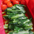 たぬとん's cooksnap of when they made 簡単！小松菜とプチトマトのおひたし.