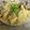 さくらん餅's cooksnap of when they made 筍とあさりの和風パスタ。.