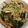 クックPH3Q8X☆'s cooksnap of when they made 刻み昆布の中華和え.