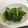 fuwamocos's cooksnap of when they made 小松菜のナムル.