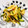 あっこ姉's cooksnap of when they made 旬菜おつまみ✿筍と胡瓜のピリ辛和え♪.