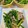 yu228's cooksnap of when they made 豚肉とにんにくの芽の炒め物.