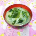 ふうはっちゃん's cooksnap of when they made ズボラ簡単！ワカメとモヤシの味噌汁.
