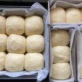 ゆきんこ母ちゃん's cooksnap of when they made 卵と牛乳HBふわふわロールパンちぎりパン.